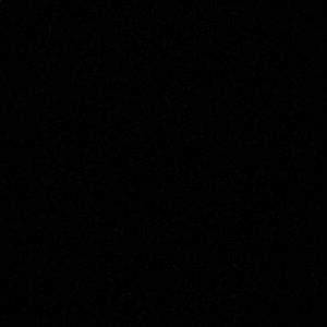 Meet your Posher, Eunice